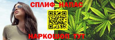 спиды Кандалакша