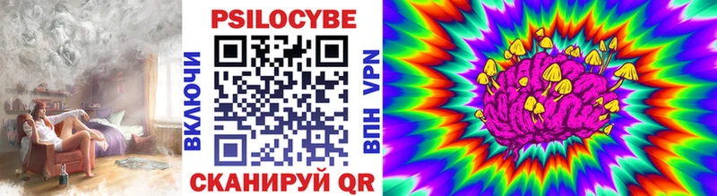 Галлюциногенные грибы Psilocybe Балтийск