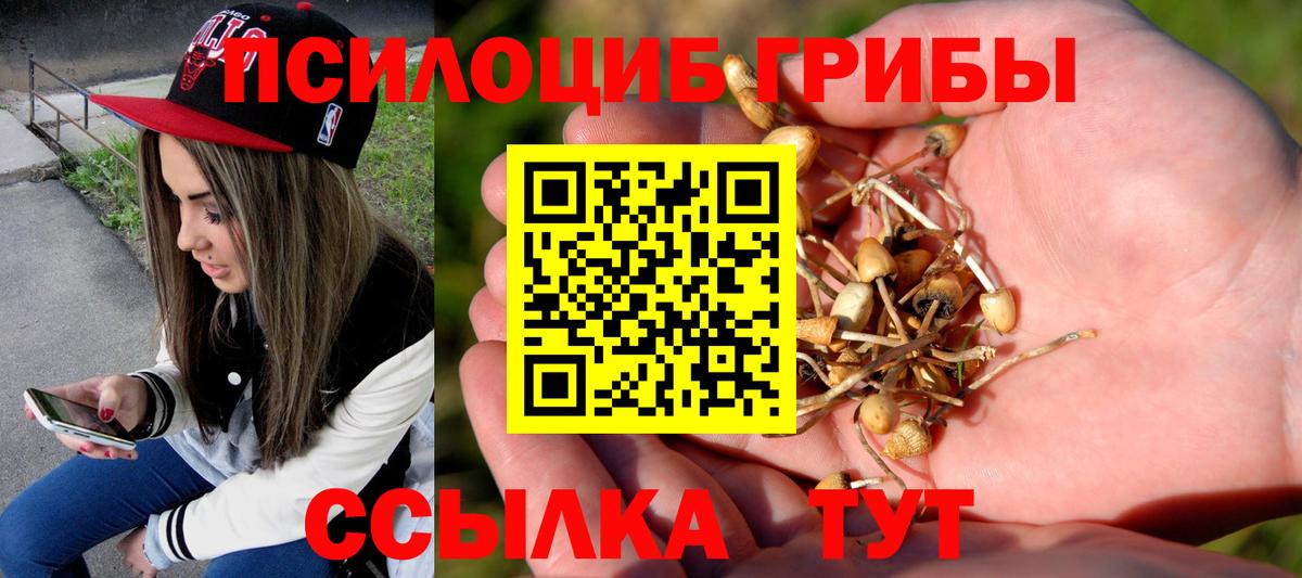 Псилоцибиновые грибы MAGIC MUSHROOMS Балтийск