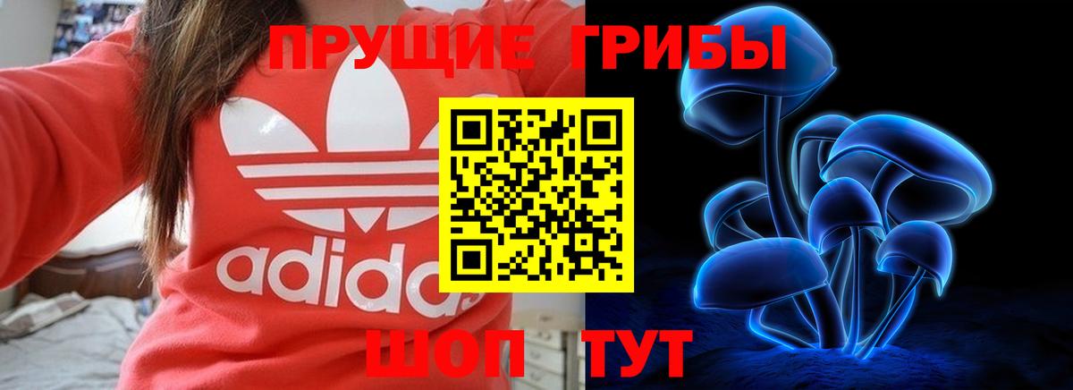 Галлюциногенные грибы мицелий  Вход с VPN  Балтийск 